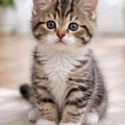 ヒメ日記 2026/02/17 23:08 投稿 ゆきこ 昭和生まれの美人