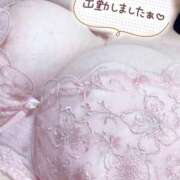 ヒメ日記 2025/06/12 09:26 投稿 らん 俺のジュニア