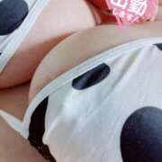 ヒメ日記 2025/08/28 08:00 投稿 らん 俺のジュニア