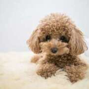 ヒメ日記 2026/02/13 07:09 投稿 信子 昭和生まれの美人