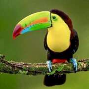 ヒメ日記 2026/02/25 07:31 投稿 信子 昭和生まれの美人