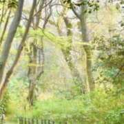 ヒメ日記 2026/03/06 05:59 投稿 信子 昭和生まれの美人