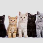 ヒメ日記 2026/03/14 07:10 投稿 信子 昭和生まれの美人