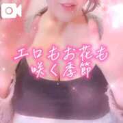 ヒメ日記 2026/04/22 08:01 投稿 広瀬あおい 池袋㊙エステ～フル勃起～