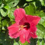 ヒメ日記 2025/08/09 22:54 投稿 もも ごほうびSPA池袋店