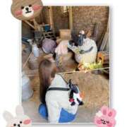 なつ 🐰🐇🙏 京都ホテヘル倶楽部