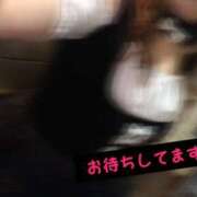 ヒメ日記 2026/04/08 10:02 投稿 ゆうひ 鹿児島ちゃんこ 天文館店