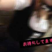 ヒメ日記 2026/04/08 10:11 投稿 ゆうひ 鹿児島ちゃんこ 天文館店