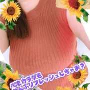 ヒメ日記 2025/07/06 04:29 投稿 なつき 奥様プリモ