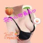 ヒメ日記 2025/07/13 12:10 投稿 なつき 奥様プリモ