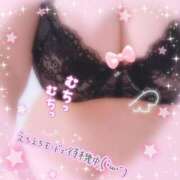 ヒメ日記 2025/08/04 21:49 投稿 なつき 奥様プリモ