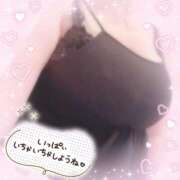 ヒメ日記 2025/08/13 12:09 投稿 なつき 奥様プリモ