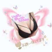 ヒメ日記 2025/08/26 18:59 投稿 なつき 奥様プリモ