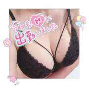 ヒメ日記 2025/09/07 17:20 投稿 なつき 奥様プリモ