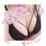 ヒメ日記 2025/10/14 19:49 投稿 なつき 奥様プリモ