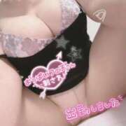 ヒメ日記 2025/11/01 18:49 投稿 なつき 奥様プリモ