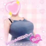 ヒメ日記 2025/11/24 23:49 投稿 なつき 奥様プリモ