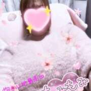 ヒメ日記 2025/12/31 09:49 投稿 なつき 奥様プリモ