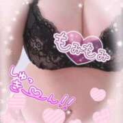 ヒメ日記 2026/01/03 16:49 投稿 なつき 奥様プリモ