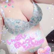 ヒメ日記 2026/01/26 21:09 投稿 なつき 奥様プリモ