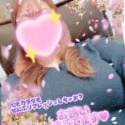 ヒメ日記 2026/01/31 13:32 投稿 なつき 奥様プリモ