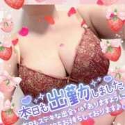 ヒメ日記 2026/02/21 19:49 投稿 なつき 奥様プリモ