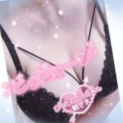 ヒメ日記 2026/02/24 19:59 投稿 なつき 奥様プリモ