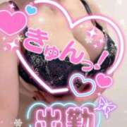 ヒメ日記 2026/02/28 19:49 投稿 なつき 奥様プリモ