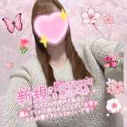 ヒメ日記 2026/03/14 03:19 投稿 なつき 奥様プリモ