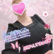 ヒメ日記 2026/03/28 19:49 投稿 なつき 奥様プリモ