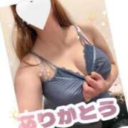 ヒメ日記 2026/03/29 03:29 投稿 なつき 奥様プリモ