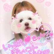 ヒメ日記 2026/03/30 12:12 投稿 なつき 奥様プリモ