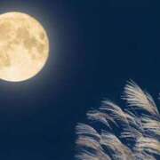 ヒメ日記 2025/09/30 20:15 投稿 こころ アドミsince2009吉祥寺デリヘル&Go To FANTASY東京吉祥寺店