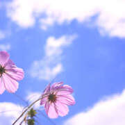 ヒメ日記 2025/12/13 12:55 投稿 こころ アドミsince2009吉祥寺デリヘル&Go To FANTASY東京吉祥寺店