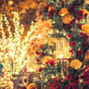 ヒメ日記 2025/12/22 16:26 投稿 こころ アドミsince2009吉祥寺デリヘル&Go To FANTASY東京吉祥寺店