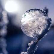 ヒメ日記 2025/12/23 18:07 投稿 こころ アドミsince2009吉祥寺デリヘル&Go To FANTASY東京吉祥寺店