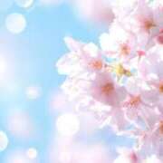 ヒメ日記 2026/03/19 12:55 投稿 こころ アドミsince2009吉祥寺デリヘル&Go To FANTASY東京吉祥寺店
