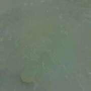 ヒメ日記 2026/02/26 07:02 投稿 つばさ SOAPLAND LOVE FACTORY