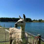 ユナ 今日！🙌🏻 キャンディ(鹿児島)