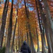 ヒメ日記 2025/12/29 07:16 投稿 リナ ドMなバニーちゃん大宮店