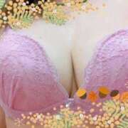 ヒメ日記 2026/02/07 15:03 投稿 ベニ 恋の季節