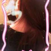 ヒメ日記 2026/02/12 15:48 投稿 ベニ 恋の季節