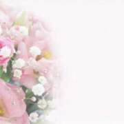 ヒメ日記 2025/06/14 20:51 投稿 月城 まお ホットアロマ