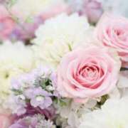 ヒメ日記 2025/06/21 10:40 投稿 月城 まお ホットアロマ