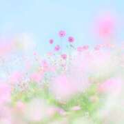 ヒメ日記 2025/06/23 11:56 投稿 月城 まお ホットアロマ