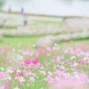 ヒメ日記 2025/06/23 12:02 投稿 月城 まお ホットアロマ