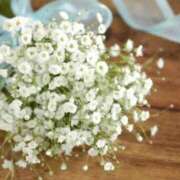 ヒメ日記 2025/06/23 15:08 投稿 月城 まお ホットアロマ