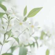 ヒメ日記 2025/06/24 16:04 投稿 月城 まお ホットアロマ