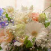 ヒメ日記 2025/06/24 18:10 投稿 月城 まお ホットアロマ