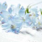 ヒメ日記 2025/06/24 22:08 投稿 月城 まお ホットアロマ